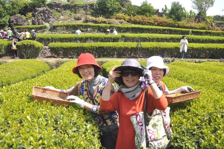 농촌에서 건강한 식문화여행을 함께...